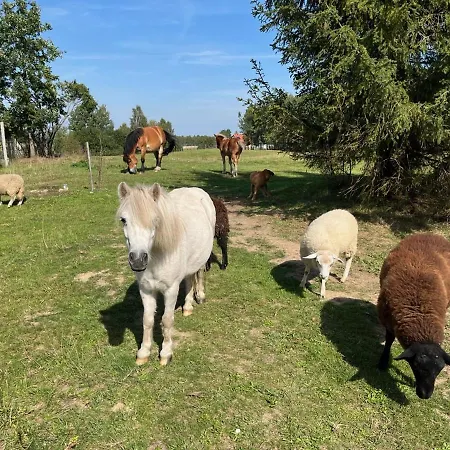 Ranczo Nad Stawami Tuchomko